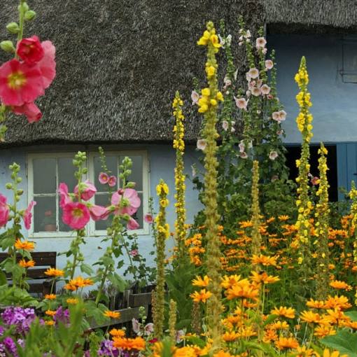 Ein Garten im Cottage-Stil ist wie ein riesiger Blumenstrauß
