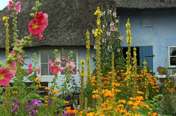 Ein Garten im Cottage-Stil ist wie ein riesiger Blumenstrauß