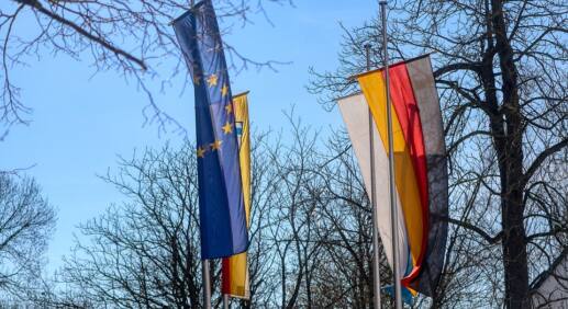 FDP-Geschäftsführer – Asylleistungen statt Bürgergeld für neu ankommende Ukrainer