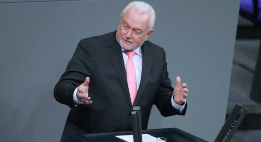 „Merkwürdiger Schritt“ – Kubicki kritisiert Verfassungsschutzchef Haldenwang