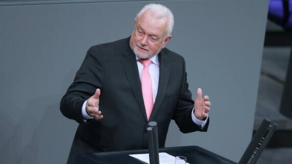 „Merkwürdiger Schritt“ – Kubicki kritisiert Verfassungsschutzchef Haldenwang