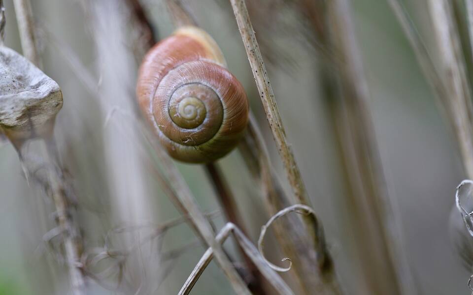 Farbeimer, Farbe und Lacke entsorgen: Wohin damit?
